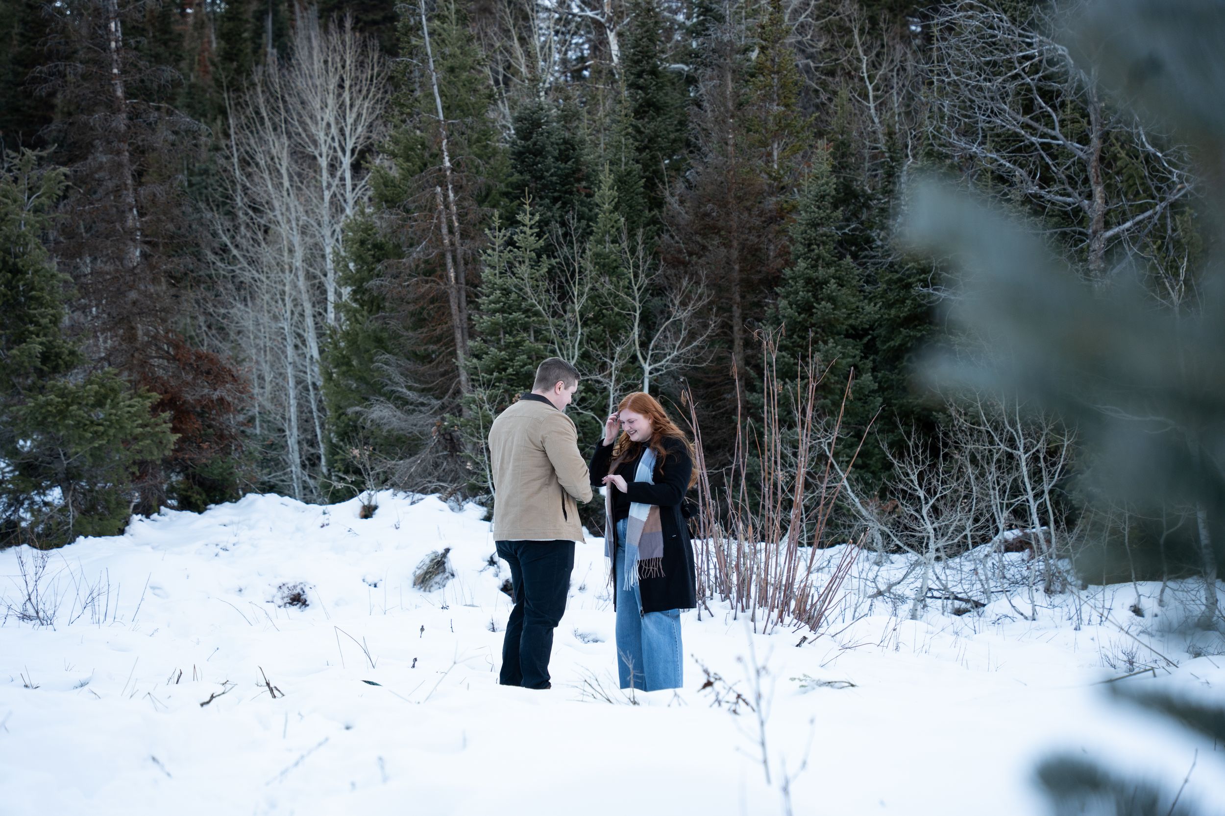 Couple standing together after proposing in a snowy Jordan pines landscape, surrounded by bare trees and evergreens.