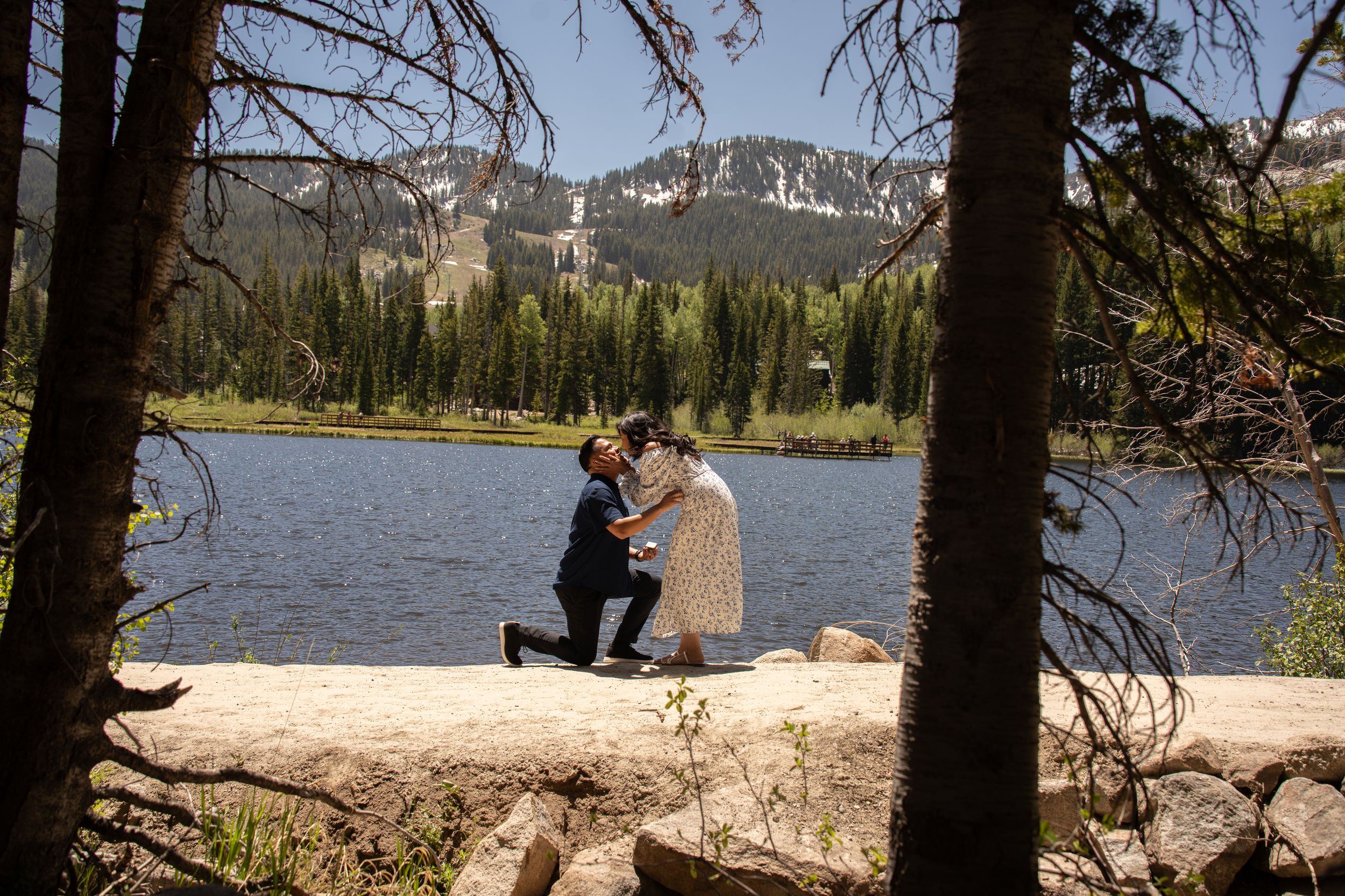 Man proposing on one knee to woman by silver lake surrounded by pine trees and uinta mountains