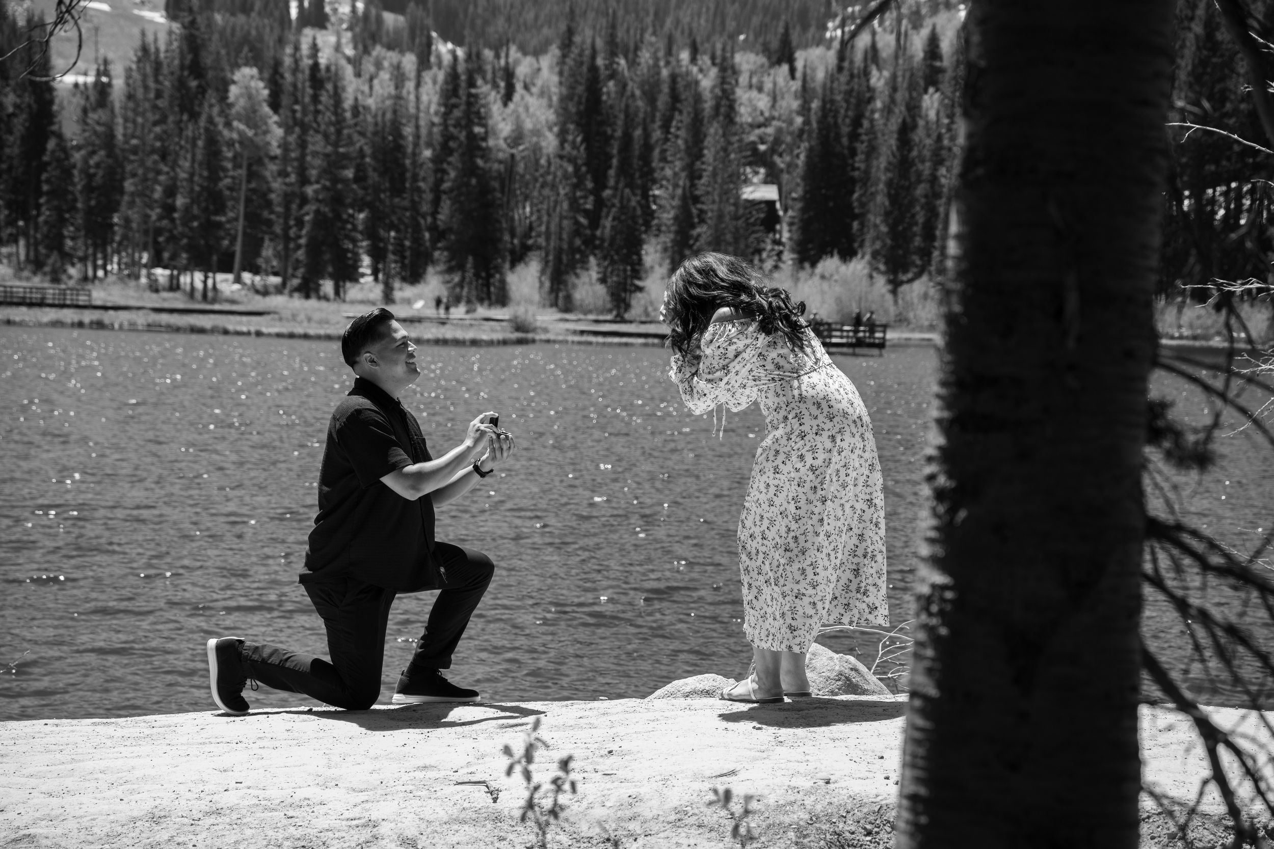 Black and white photo of a man on one knee proposing to a woman by silver lake brighton surrounded by pine trees.
