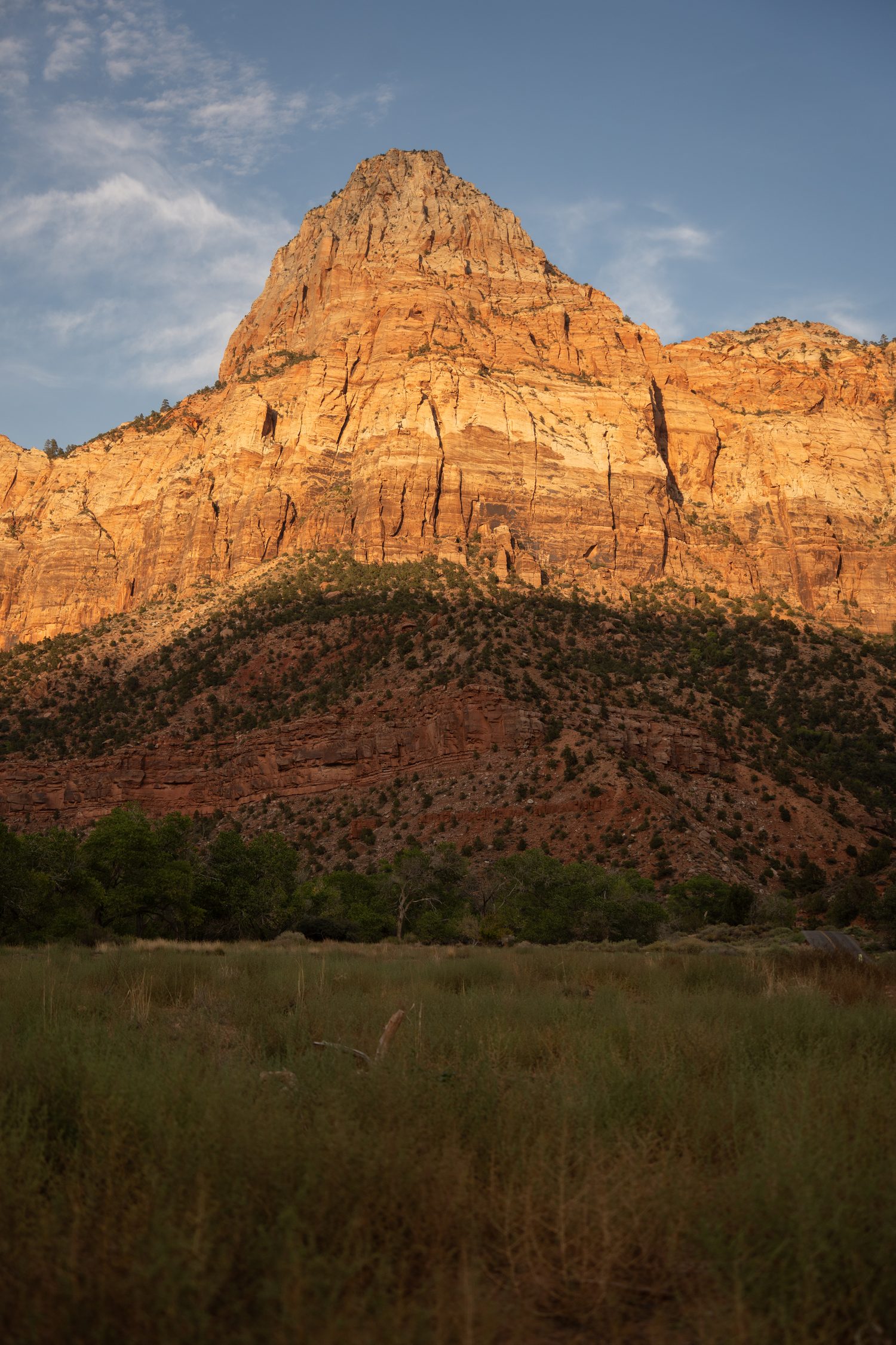 Jack & Lyndsey's Zion Proposal on the Watchman Trail